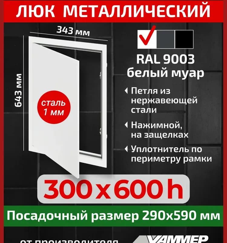 Люк белый металл 50×60