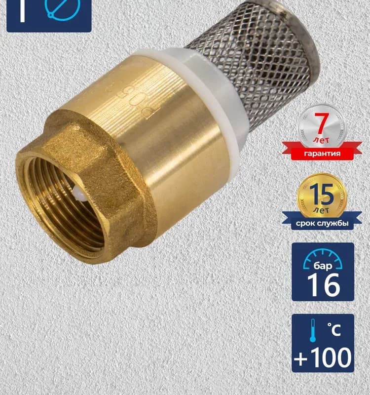 Обратный клапан 40 с сеткой